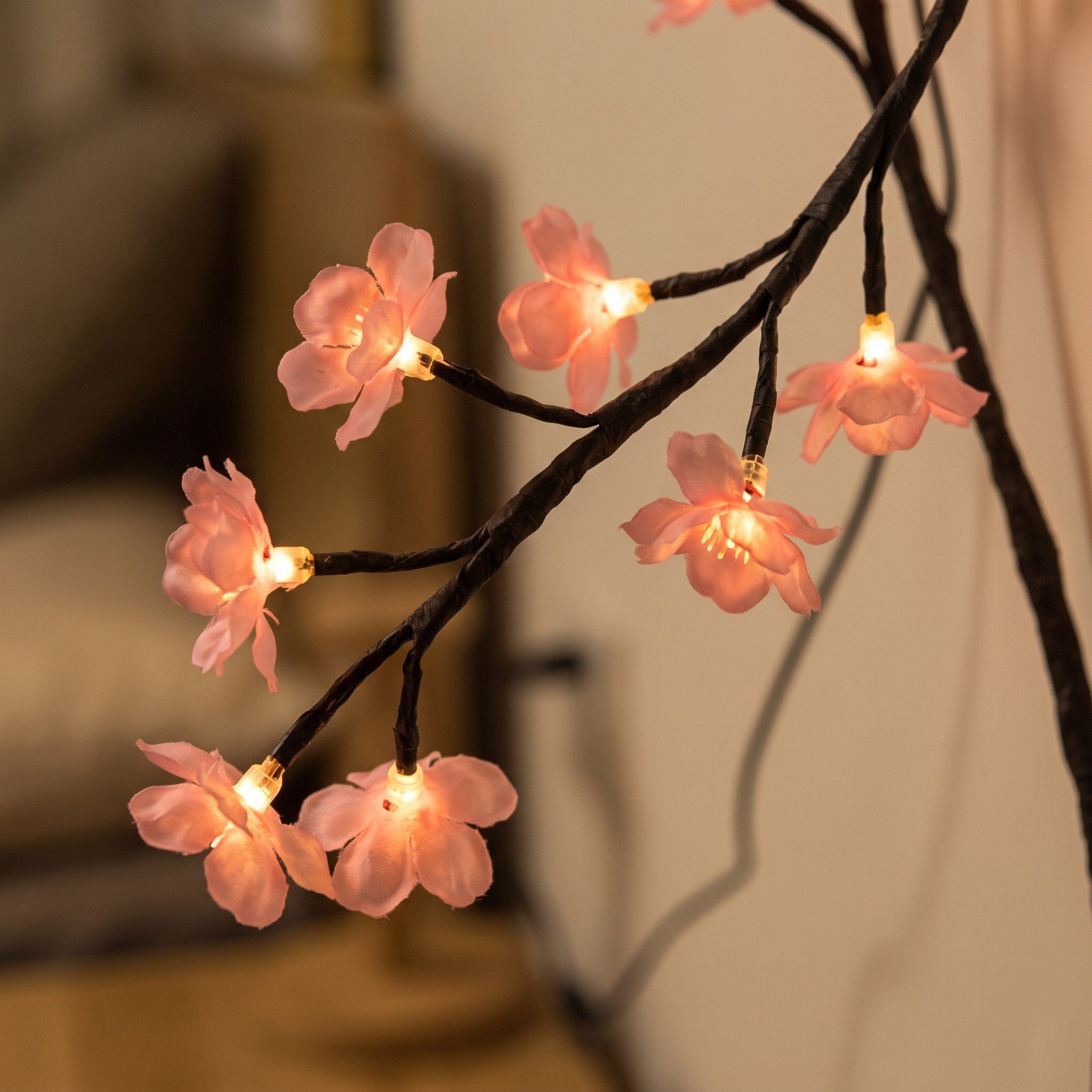 Close view of warm light through a pink flower